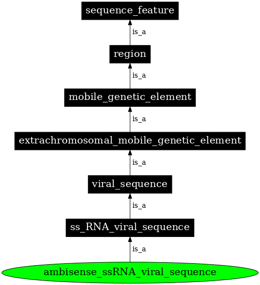 Graph image for SO:0001202