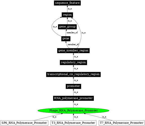 Graph image for SO:0001204