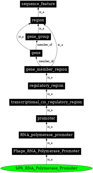 Graph image for SO:0001205