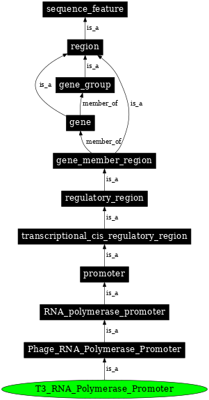 Graph image for SO:0001206