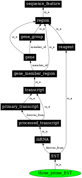 Graph image for SO:0001209