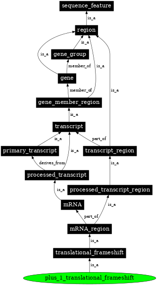 Graph image for SO:0001211
