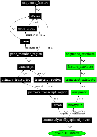 Graph image for SO:0001213