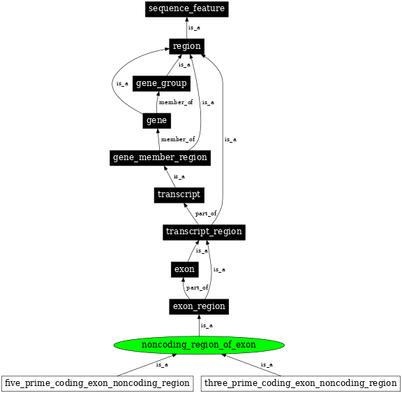 Graph image for SO:0001214