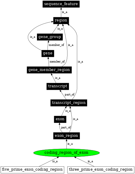 Graph image for SO:0001215