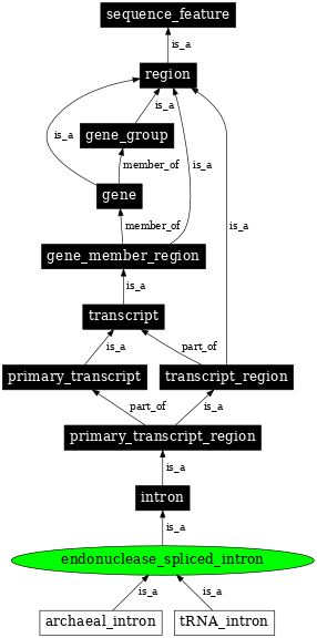 Graph image for SO:0001216