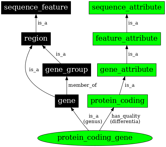 Graph image for SO:0001217