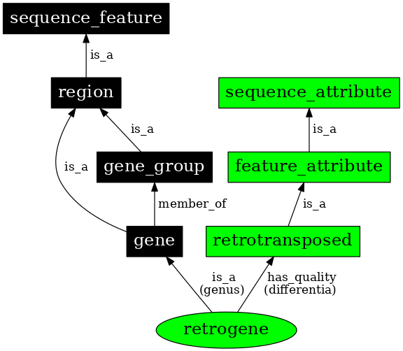 Graph image for SO:0001219