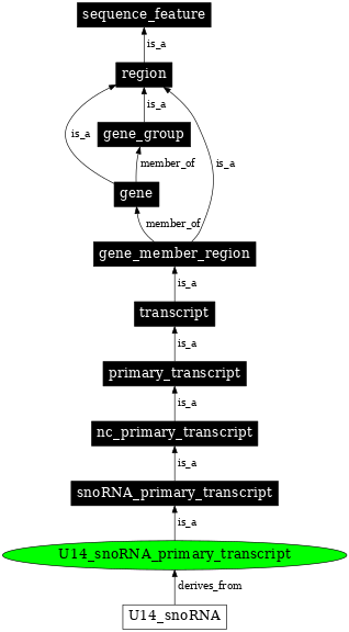 Graph image for SO:0005837