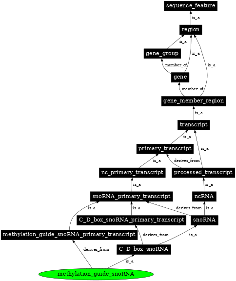 Graph image for SO:0005841