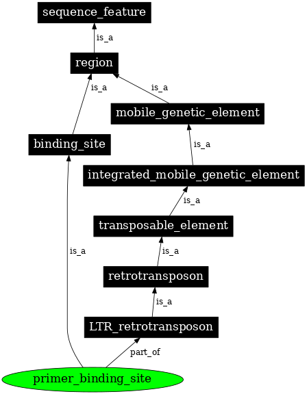 Graph image for SO:0005850