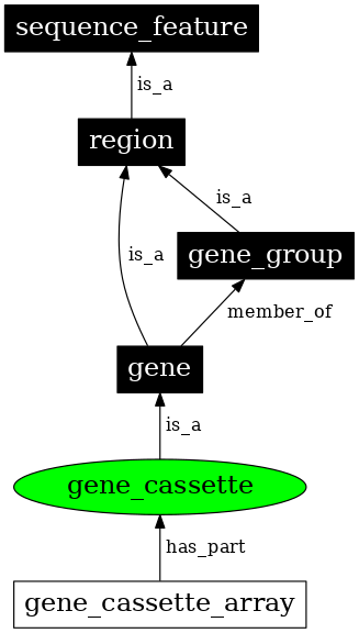 Graph image for SO:0005853