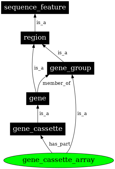 Graph image for SO:0005854