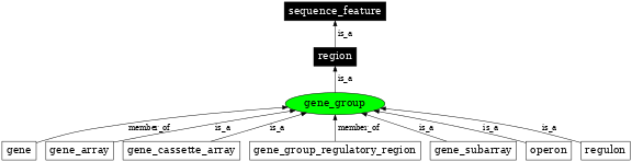 Graph image for SO:0005855
