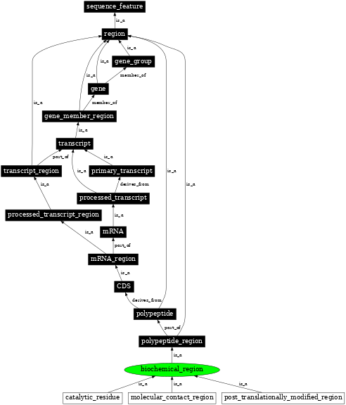 Graph image for SO:0100001