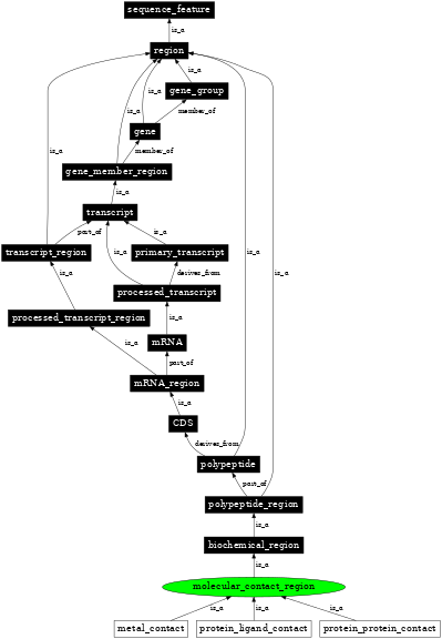 Graph image for SO:0100002