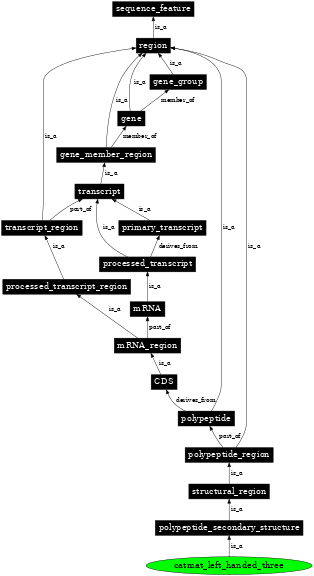 Graph image for SO:0100004