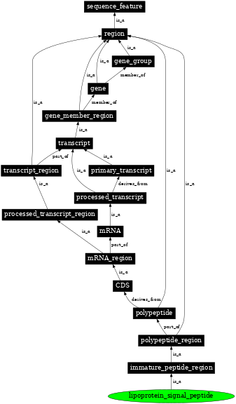 Graph image for SO:0100009