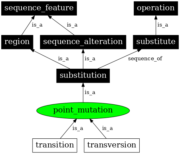 Graph image for SO:1000008