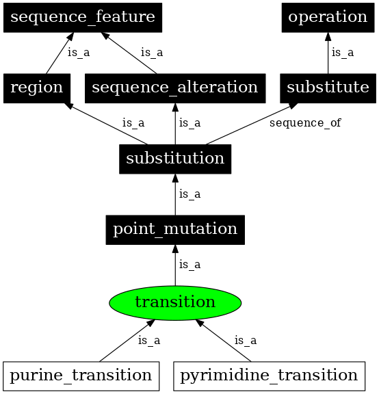 Graph image for SO:1000009