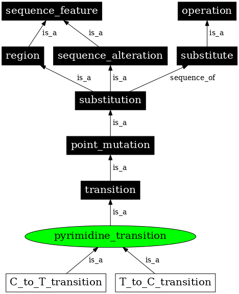 Graph image for SO:1000010