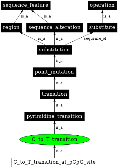 Graph image for SO:1000011