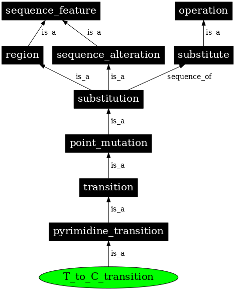 Graph image for SO:1000013