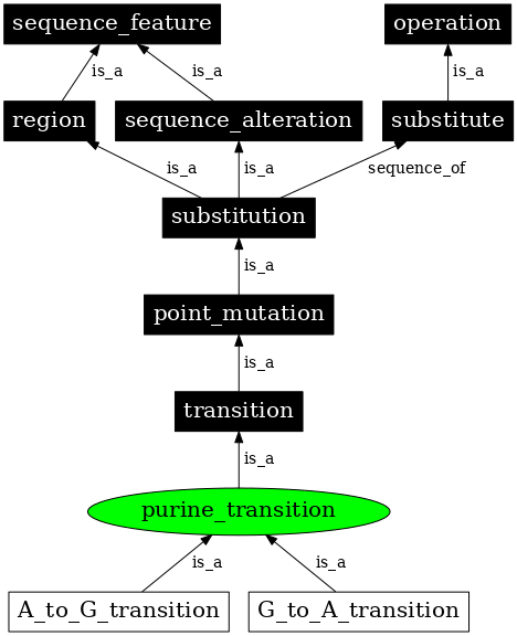 Graph image for SO:1000014