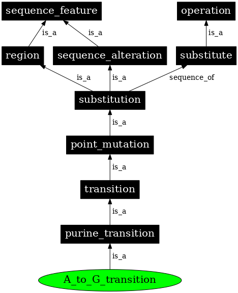 Graph image for SO:1000015