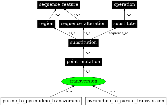 Graph image for SO:1000017