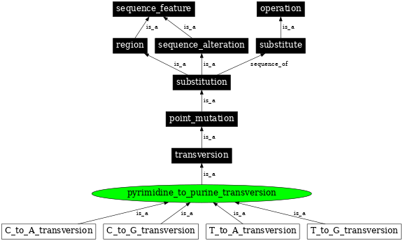 Graph image for SO:1000018