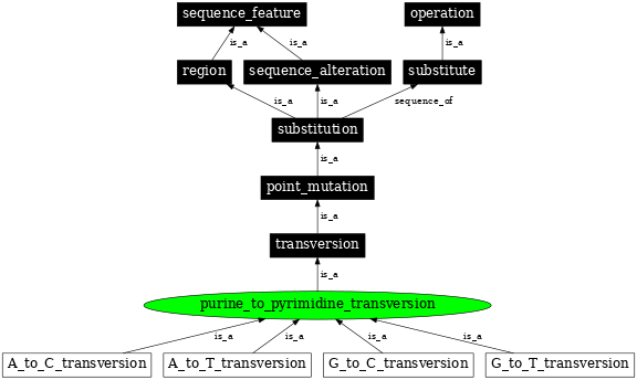 Graph image for SO:1000023