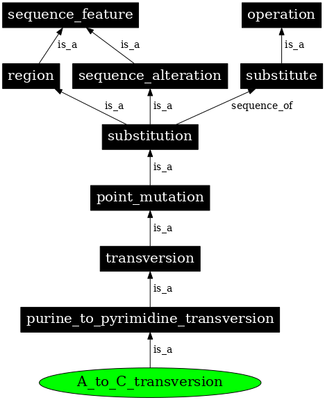 Graph image for SO:1000024