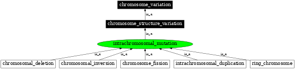 Graph image for SO:1000028