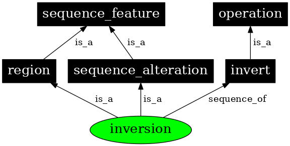 Graph image for SO:1000036