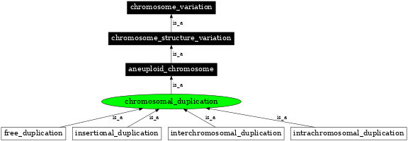 Graph image for SO:1000037