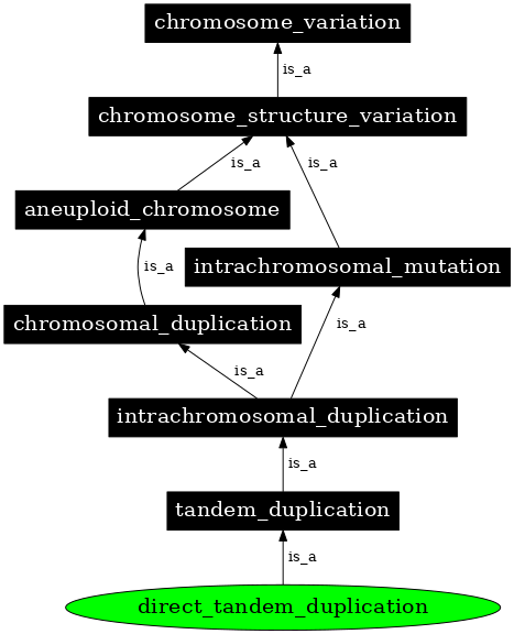 Graph image for SO:1000039