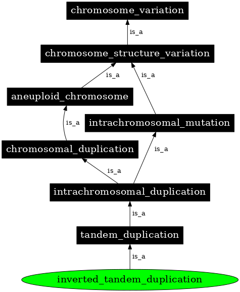 Graph image for SO:1000040