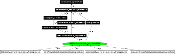 Graph image for SO:1000041