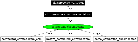 Graph image for SO:1000042