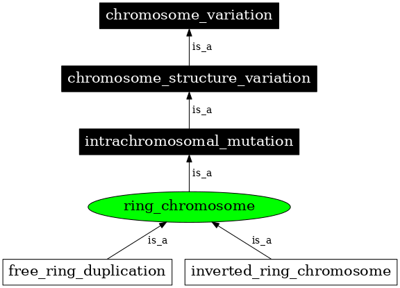 Graph image for SO:1000045