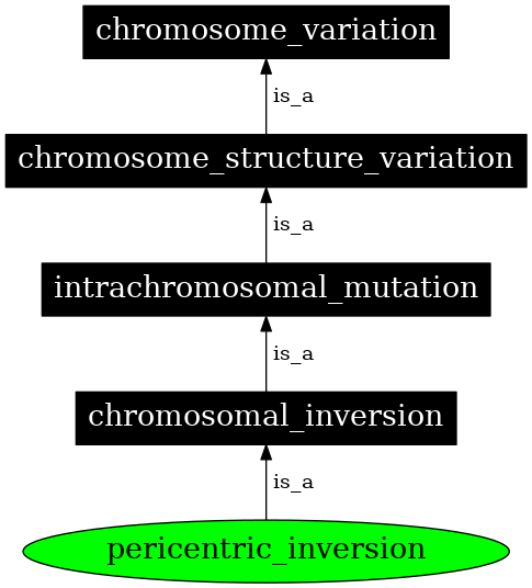 Graph image for SO:1000046