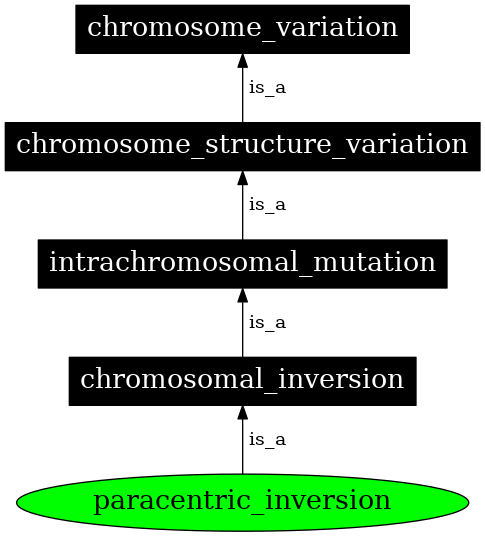 Graph image for SO:1000047