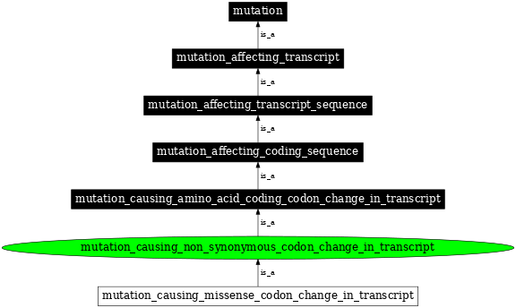 Graph image for SO:1000058