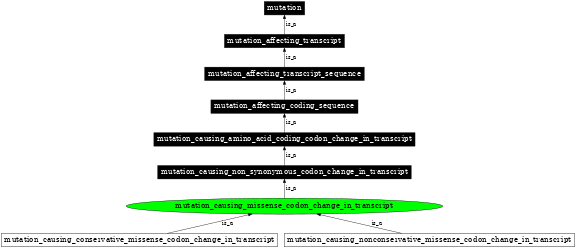 Graph image for SO:1000059