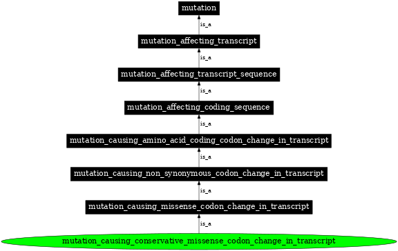 Graph image for SO:1000060
