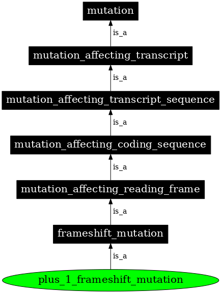 Graph image for SO:1000066
