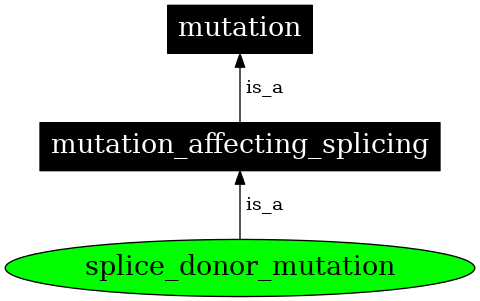 Graph image for SO:1000072