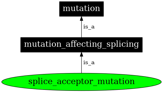 Graph image for SO:1000073
