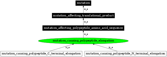 Graph image for SO:1000099